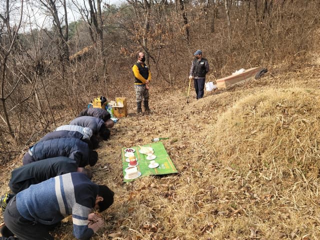 충남 예산